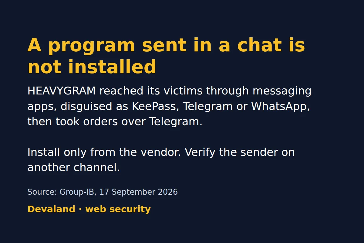 A Program Sent in a Chat Is Not Installed: Lessons From HEAVYGRAM